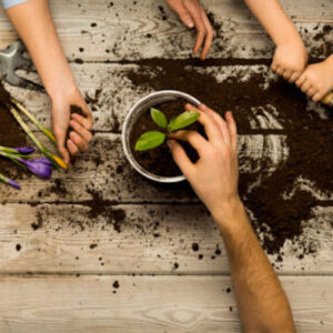 Children and an adult pot plants into pots. Soil is spilt on the tabletop.